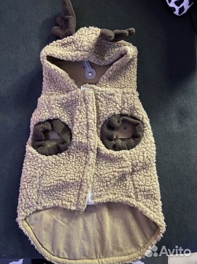 Одежда, жилет для собаки