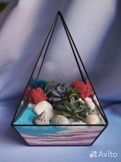 Флорариум с суккулентами