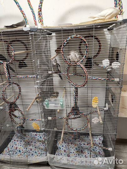 Большая клетка для птиц