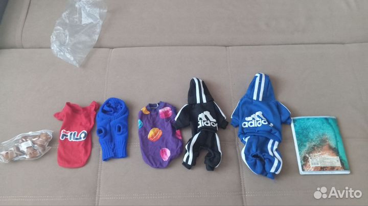 Одежда для маленьких собак