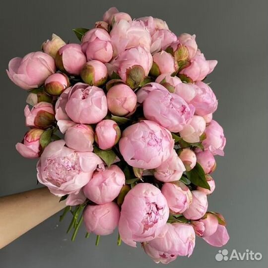 Пионы букет с доставкой