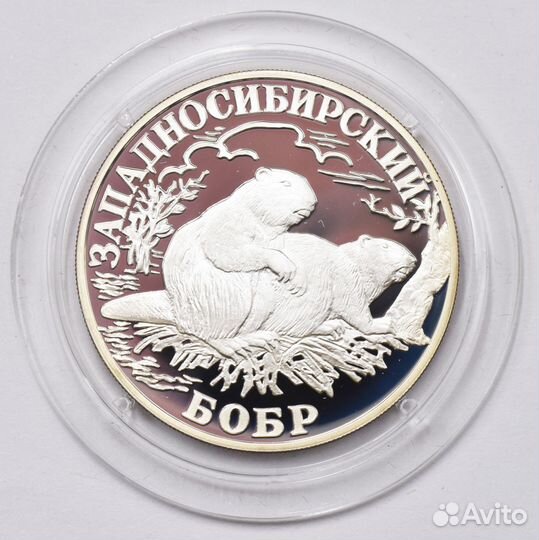 1 рубль 2001 года. Западносибирский бобр. Серебро