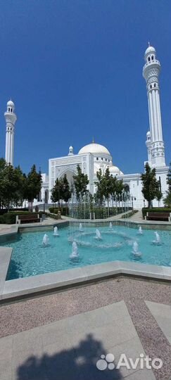 Гид-экскурсовод / Индивидуальный тур