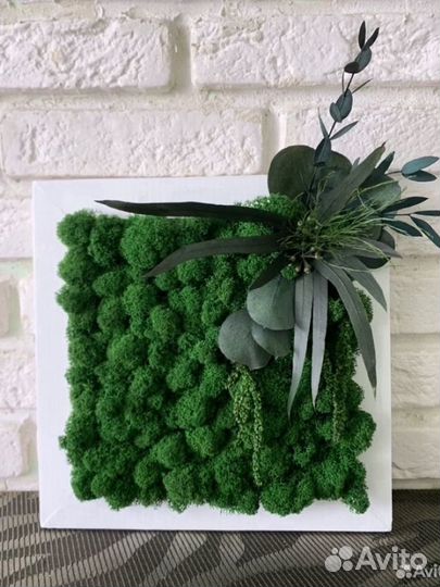 Картина, панно из стабилизированного мха