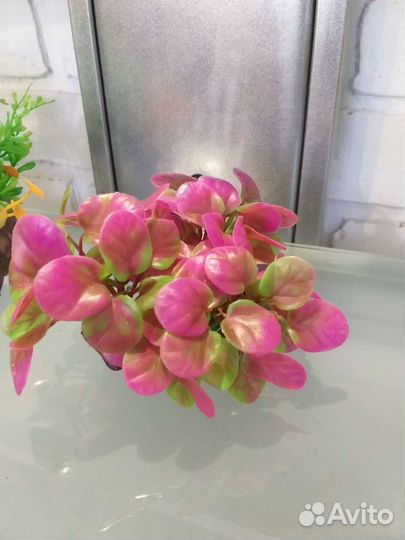 Аквариумные растения искусственные