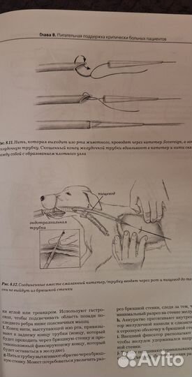 Скорая помощь и терапия домашних животных