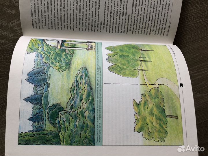 Ландшафтный дизайн, Титова