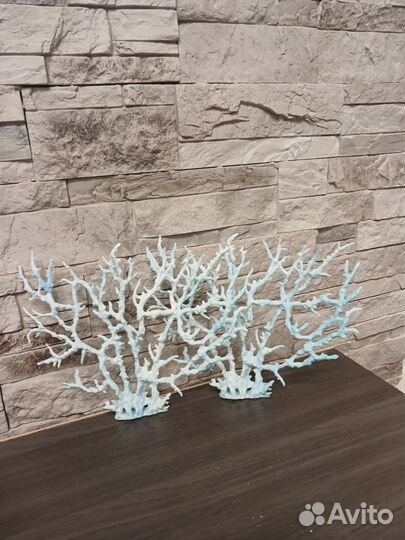 Коралл в аквариум