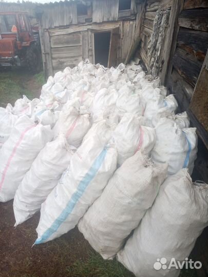 Продать корень хрена