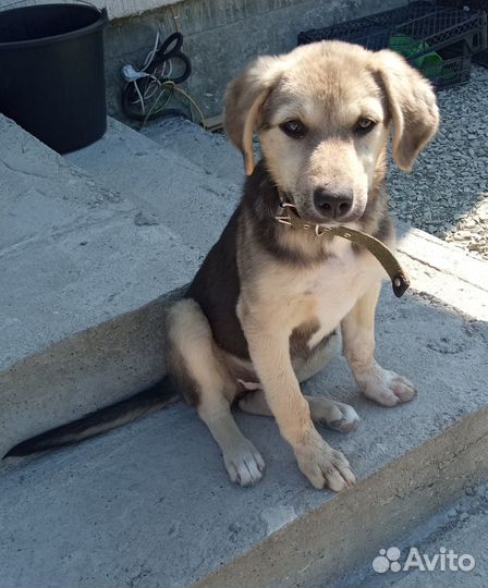 В добрые и ответственные ручки