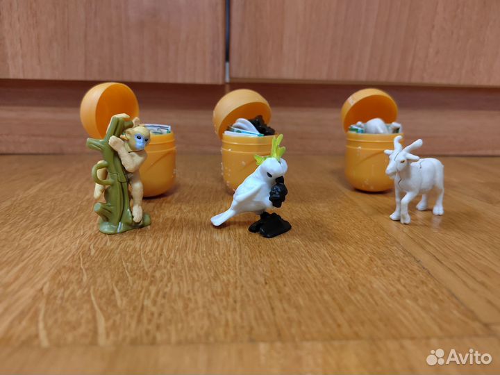 Киндер натунс 2024