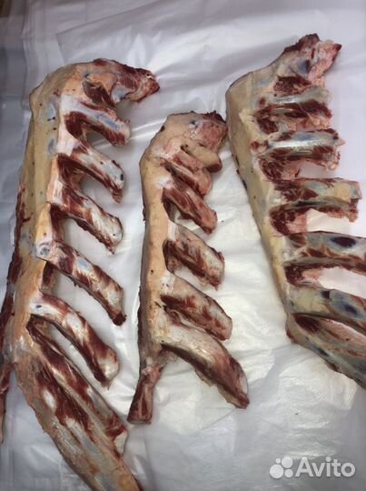 Говяжьи кости на корм собакам и другим животным