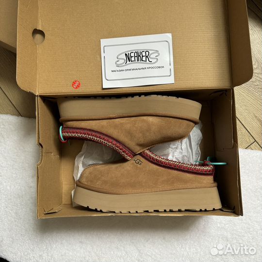 Ugg Tazz оригинал