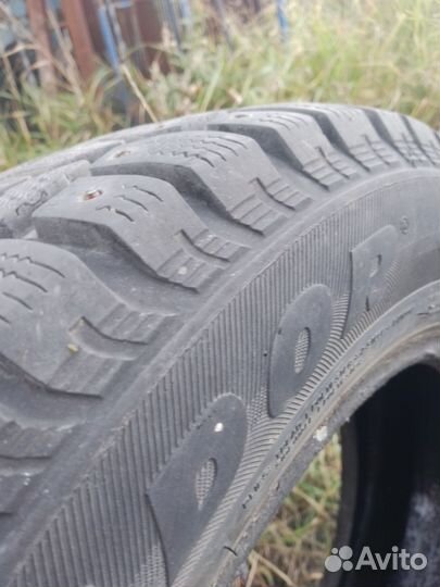 Matador DR1 Hector 195/65 R15