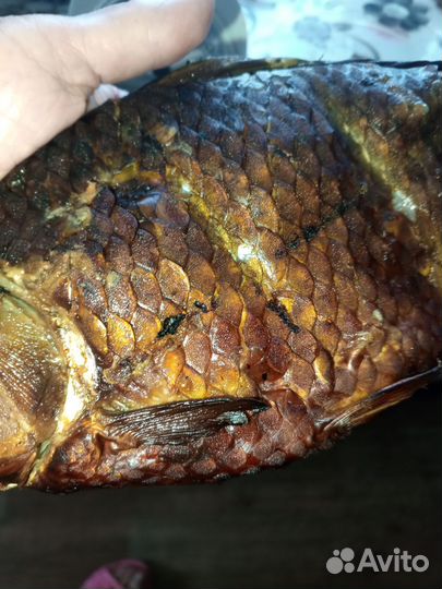 Копченый лещ, карась