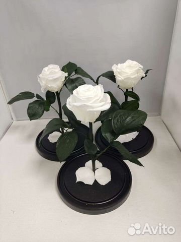 Роза в колбе оптом и в розницу