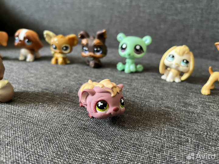 Littlest pet shop