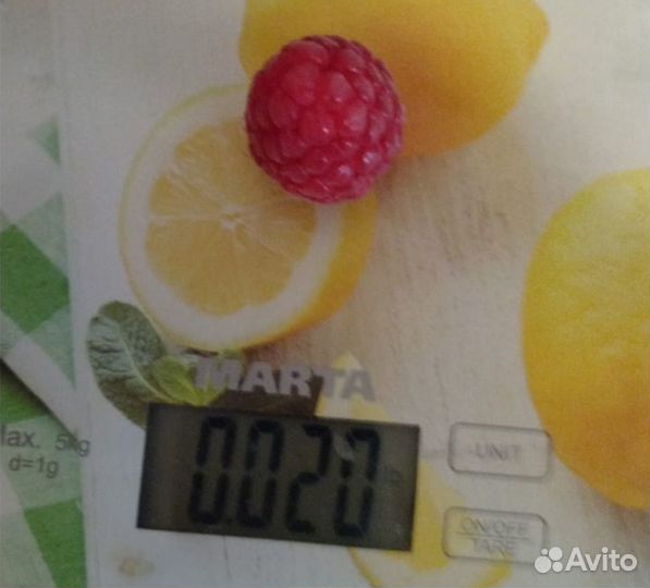 Саженцы штамбовой малины (малиновое дерево)