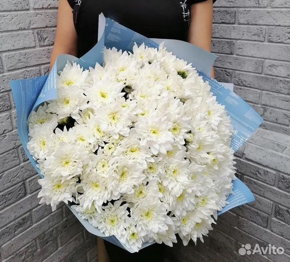 101 Роза Доставка 24/7 Пионы 201