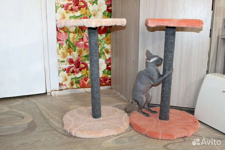 Когтеточка