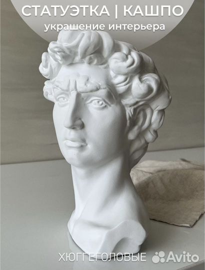 Голова Давида Кашпо