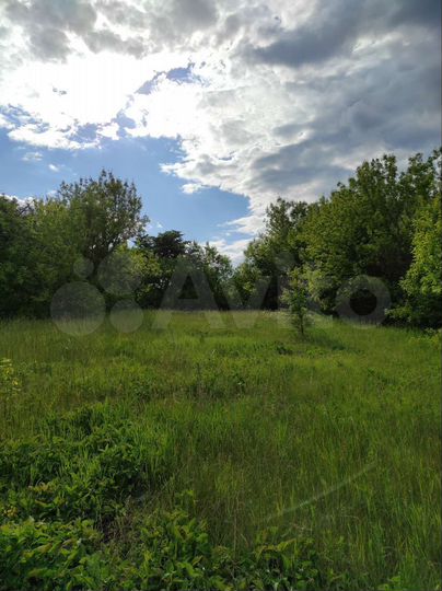 Участок 43 сот. (СНТ, ДНП)