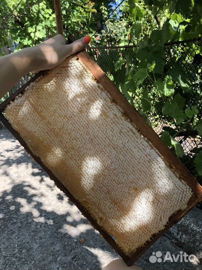 Крымский Мёд, свечи, подарочные наборы