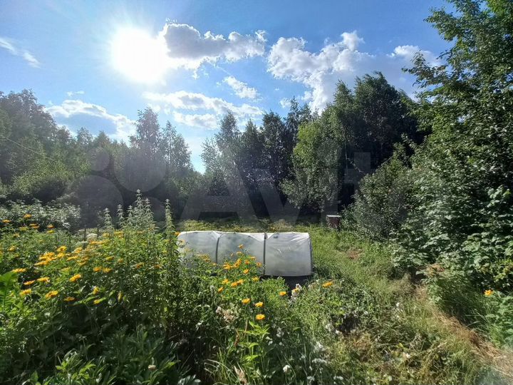 Участок 6,6 сот. (СНТ, ДНП)