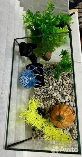 Аквариум