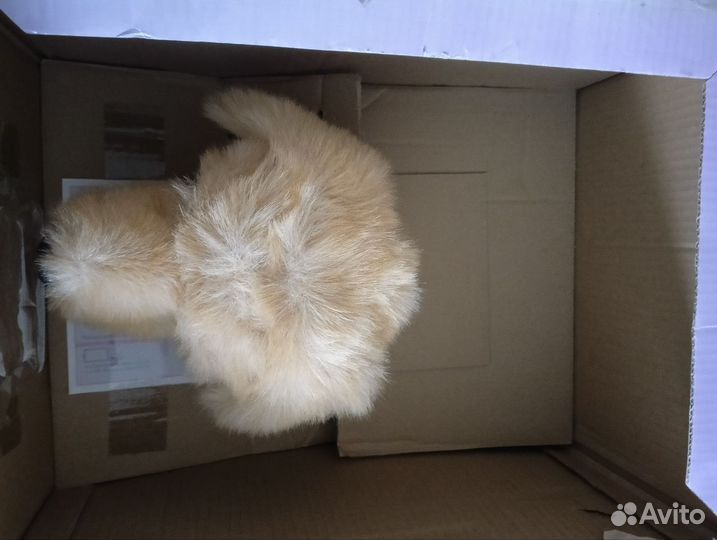 Собака игрушка