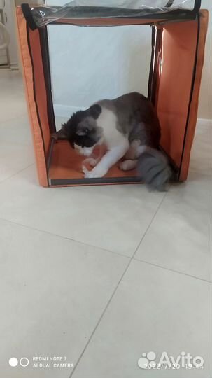 Выставочная палатка для животных