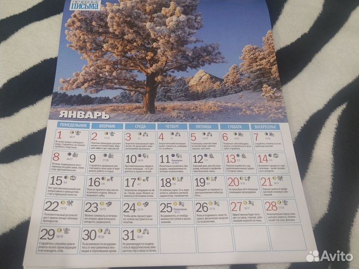 Лунный календарь здоровья 2024 год