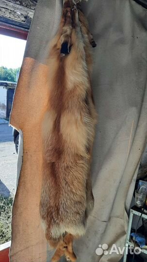 Лисьи шкуры