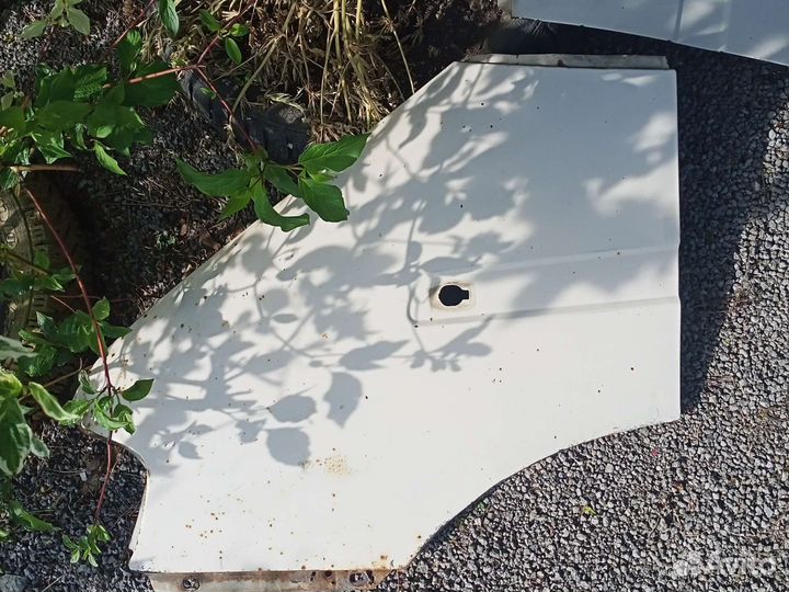 Крылья передние