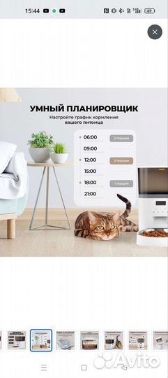 Автокормушка