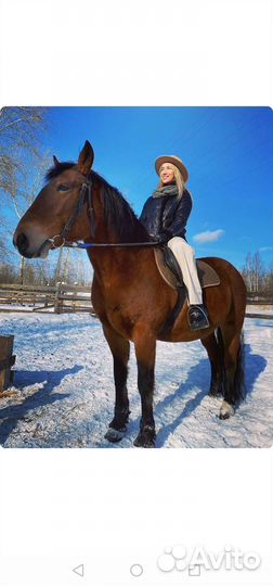 Прогулки на лошадях и поход в конный клуб