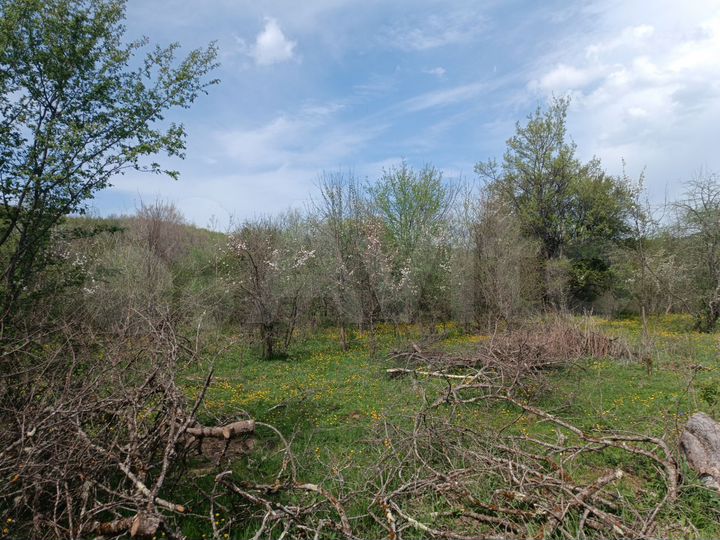 Участок 7,5 сот. (ИЖС)