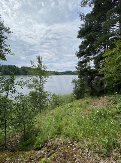 Участок 8 га (СНТ, ДНП)