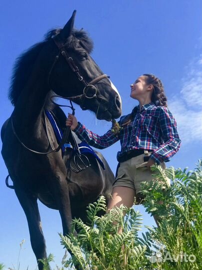 Фотосессии с лошадьми