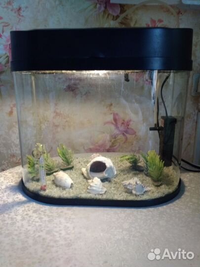 Аквариум