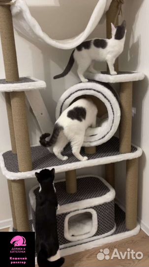 Когтеточка домик для кошки