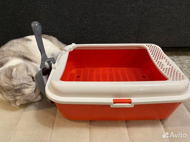 Туалет лоток для кошек и коврик для лотка