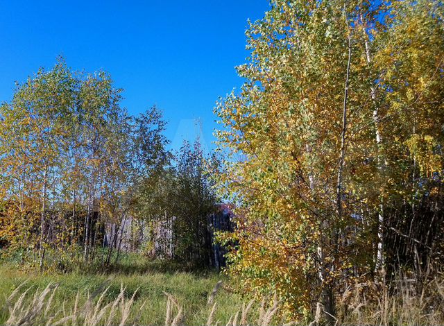 Земельные участки выкса. Выкса Рожновский лес Нижегородская область. Село Борковка Нижегородская область.