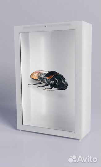 3D - витрина с искусственным интеллектом