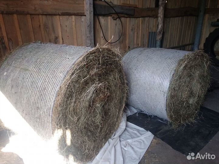 Сено в круглых тюках