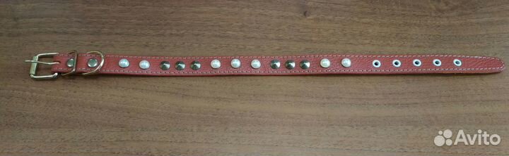 Ошейник для собак