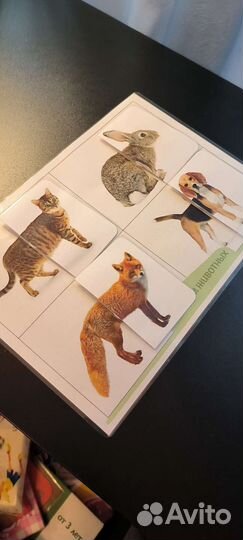 Развивающие игры