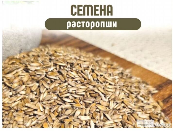 Качественные семена расторопши от производителя