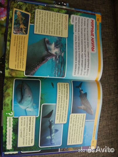 Энциклопедия для детей