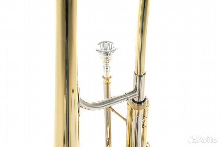 Помповый тромбон Roy Benson VT-227